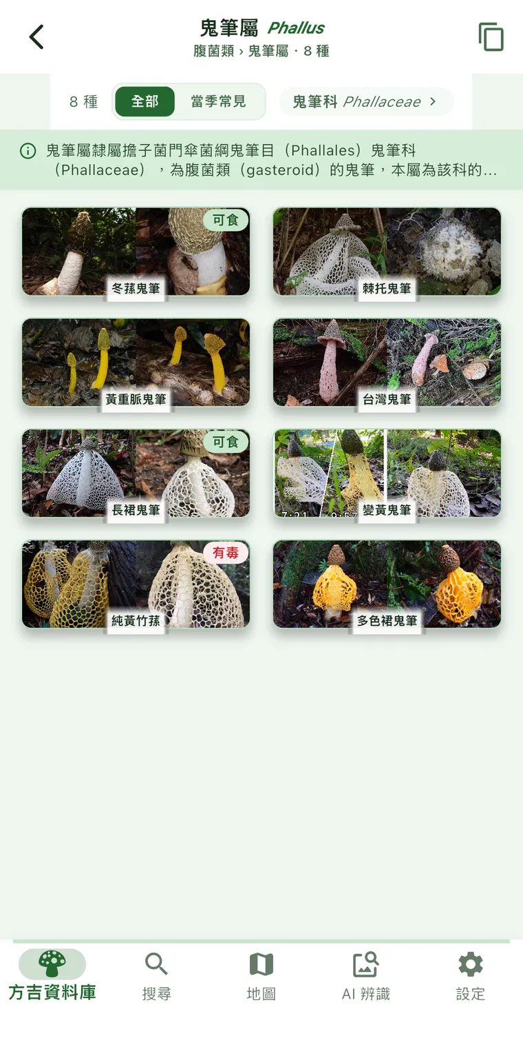 鬼筆屬的物種卡片