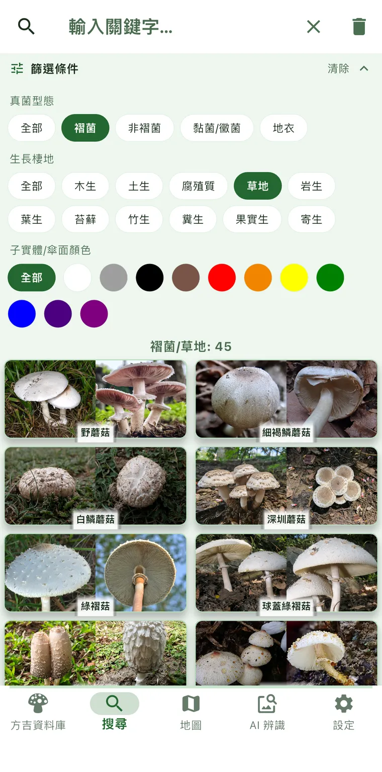 篩選結果