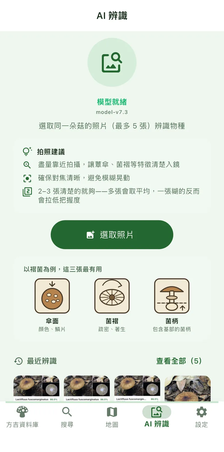 模型就緒