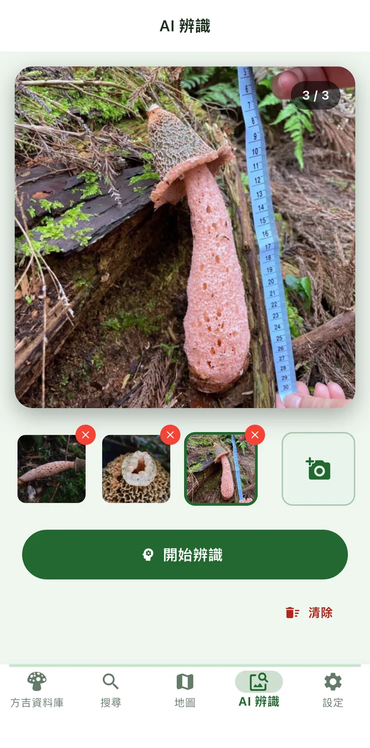 選好三張照片