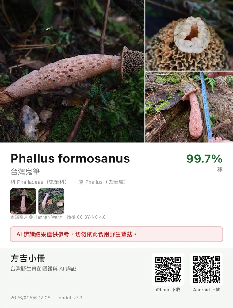 辨識圖卡